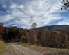 2878 Mackeyville Road, Hambleton, West Virginia 26269, ,Lots/land,For Sale,Mackeyville,10149642 2878 Mackeyville Road, Hambleton, West Virginia 26269, ,Lots/land,For Sale,Mackeyville,10149642