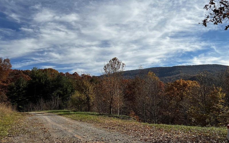 2878 Mackeyville Road, Hambleton, West Virginia 26269, ,Lots/land,For Sale,Mackeyville,10149642 2878 Mackeyville Road, Hambleton, West Virginia 26269, ,Lots/land,For Sale,Mackeyville,10149642