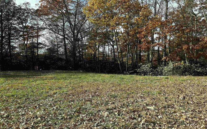 2878 Mackeyville Road, Hambleton, West Virginia 26269, ,Lots/land,For Sale,Mackeyville,10149642 2878 Mackeyville Road, Hambleton, West Virginia 26269, ,Lots/land,For Sale,Mackeyville,10149642