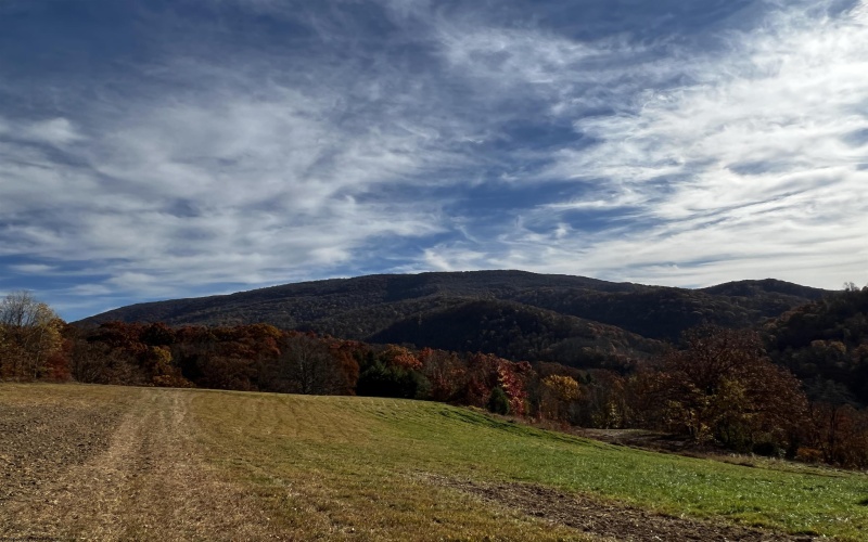 2878 Mackeyville Road, Hambleton, West Virginia 26269, ,Lots/land,For Sale,Mackeyville,10149642 2878 Mackeyville Road, Hambleton, West Virginia 26269, ,Lots/land,For Sale,Mackeyville,10149642