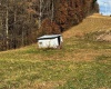 2878 Mackeyville Road, Hambleton, West Virginia 26269, ,Lots/land,For Sale,Mackeyville,10149642 2878 Mackeyville Road, Hambleton, West Virginia 26269, ,Lots/land,For Sale,Mackeyville,10149642