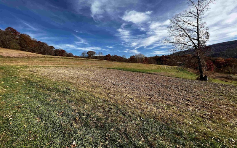 2878 Mackeyville Road, Hambleton, West Virginia 26269, ,Lots/land,For Sale,Mackeyville,10149642 2878 Mackeyville Road, Hambleton, West Virginia 26269, ,Lots/land,For Sale,Mackeyville,10149642