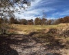2878 Mackeyville Road, Hambleton, West Virginia 26269, ,Lots/land,For Sale,Mackeyville,10149642 2878 Mackeyville Road, Hambleton, West Virginia 26269, ,Lots/land,For Sale,Mackeyville,10149642