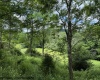 Lot 36, 38, 49 Hawthorne Valley Drive, Slaty Fork, West Virginia 26291-000, ,Lots/land,For Sale,Hawthorne Valley,10165580