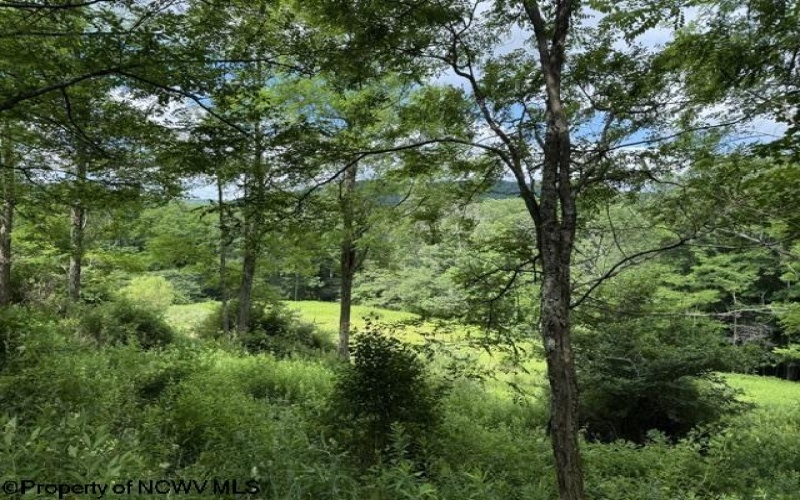 Lot 36, 38, 49 Hawthorne Valley Drive, Slaty Fork, West Virginia 26291-000, ,Lots/land,For Sale,Hawthorne Valley,10165580