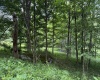 Lot 36, 38, 49 Hawthorne Valley Drive, Slaty Fork, West Virginia 26291-000, ,Lots/land,For Sale,Hawthorne Valley,10165580