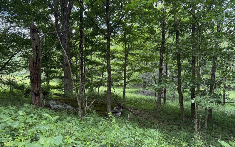 Lot 36, 38, 49 Hawthorne Valley Drive, Slaty Fork, West Virginia 26291-000, ,Lots/land,For Sale,Hawthorne Valley,10165580