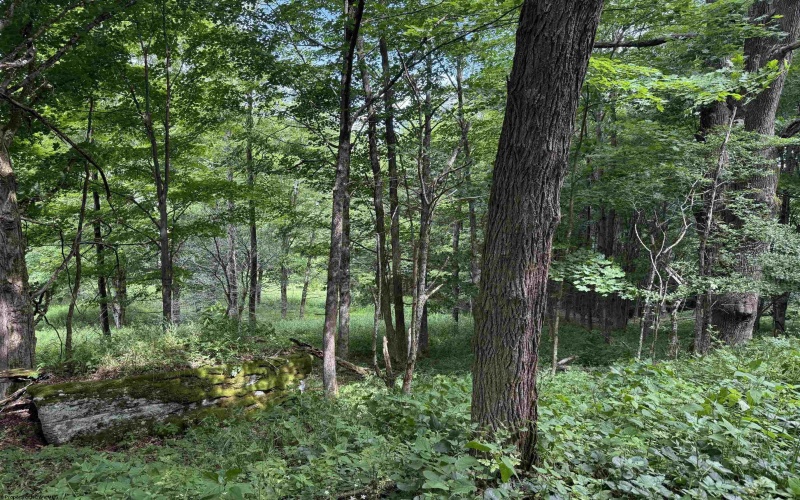 Lot 36, 38, 49 Hawthorne Valley Drive, Slaty Fork, West Virginia 26291-000, ,Lots/land,For Sale,Hawthorne Valley,10165580