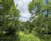 Lot 36, 38, 49 Hawthorne Valley Drive, Slaty Fork, West Virginia 26291-000, ,Lots/land,For Sale,Hawthorne Valley,10165580