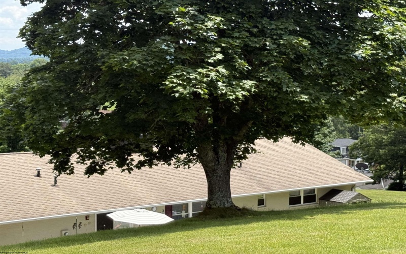 719 James Street, Bridgeport, West Virginia 26330, 3 Bedrooms Bedrooms, 7 Rooms Rooms,2 BathroomsBathrooms,Single Family Detached,For Sale,James,10165590