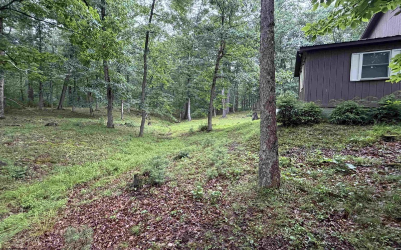 12447 Frost Road, Dunmore, West Virginia 24934, 3 Bedrooms Bedrooms, 8 Rooms Rooms,2 BathroomsBathrooms,Single Family Detached,For Sale,Frost,10165591
