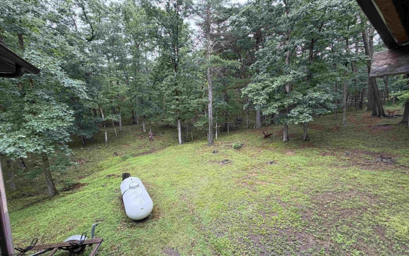 12447 Frost Road, Dunmore, West Virginia 24934, 3 Bedrooms Bedrooms, 8 Rooms Rooms,2 BathroomsBathrooms,Single Family Detached,For Sale,Frost,10165591