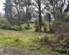 782 Meadowbrook Road, Morgantown, West Virginia 26505, ,Lots/land,For Sale,Meadowbrook,10165605