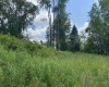 TBD Spruce Street, Thomas, West Virginia 26292, 0 , 0 ,0,Lots/land,For Sale,Spruce,0,10165620