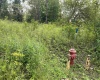 TBD Spruce Street, Thomas, West Virginia 26292, 0 , 0 ,0,Lots/land,For Sale,Spruce,0,10165620