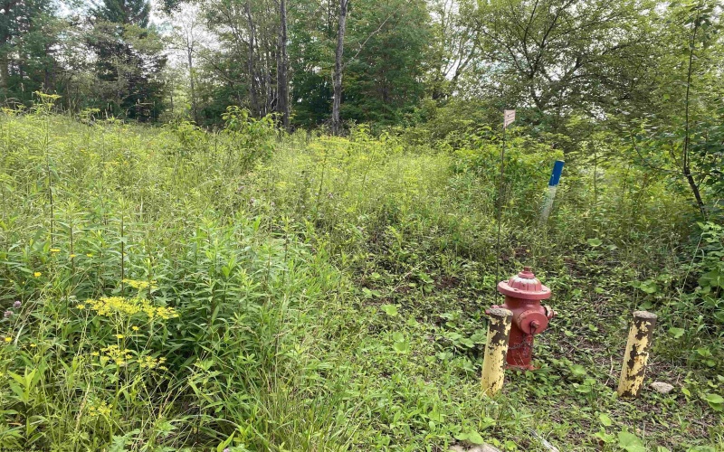 TBD Spruce Street, Thomas, West Virginia 26292, 0 , 0 ,0,Lots/land,For Sale,Spruce,0,10165620