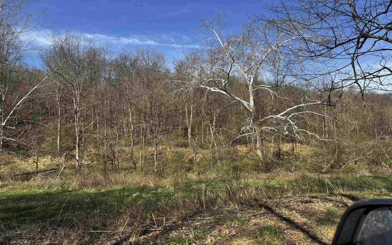 TBD Bloody Run Road, Morgantown, West Virginia 26508, 0 , 0 ,0,Lots/land,For Sale,Bloody Run,0,10165617 TBD Bloody Run Road, Morgantown, West Virginia 26508, 0 , 0 ,0,Lots/land,For Sale,Bloody Run,0,10165617