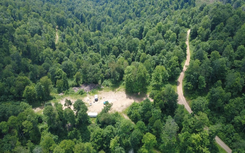 TBD SALTLICK Road, Terra Alta, West Virginia 26764, 0 , 0 ,0,Lots/land,For Sale,SALTLICK,0,10165626 TBD SALTLICK Road, Terra Alta, West Virginia 26764, 0 , 0 ,0,Lots/land,For Sale,SALTLICK,0,10165626