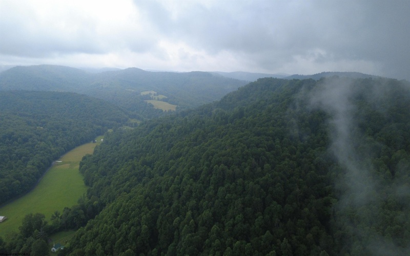 TBD SALTLICK Road, Terra Alta, West Virginia 26764, 0 , 0 ,0,Lots/land,For Sale,SALTLICK,0,10165626 TBD SALTLICK Road, Terra Alta, West Virginia 26764, 0 , 0 ,0,Lots/land,For Sale,SALTLICK,0,10165626
