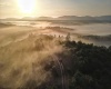TBD SALTLICK Road, Terra Alta, West Virginia 26764, 0 , 0 ,0,Lots/land,For Sale,SALTLICK,0,10165626 TBD SALTLICK Road, Terra Alta, West Virginia 26764, 0 , 0 ,0,Lots/land,For Sale,SALTLICK,0,10165626
