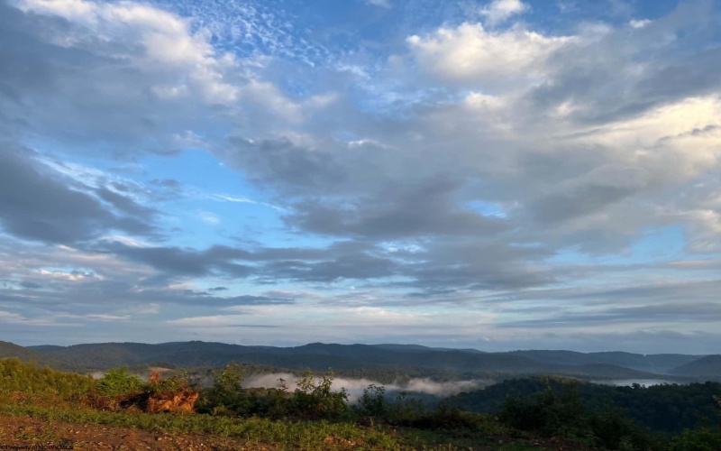 TBD SALTLICK Road, Terra Alta, West Virginia 26764, 0 , 0 ,0,Lots/land,For Sale,SALTLICK,0,10165626 TBD SALTLICK Road, Terra Alta, West Virginia 26764, 0 , 0 ,0,Lots/land,For Sale,SALTLICK,0,10165626