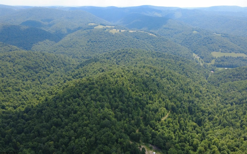 TBD SALTLICK Road, Terra Alta, West Virginia 26764, 0 , 0 ,0,Lots/land,For Sale,SALTLICK,0,10165626 TBD SALTLICK Road, Terra Alta, West Virginia 26764, 0 , 0 ,0,Lots/land,For Sale,SALTLICK,0,10165626