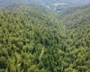 TBD SALTLICK Road, Terra Alta, West Virginia 26764, 0 , 0 ,0,Lots/land,For Sale,SALTLICK,0,10165626 TBD SALTLICK Road, Terra Alta, West Virginia 26764, 0 , 0 ,0,Lots/land,For Sale,SALTLICK,0,10165626