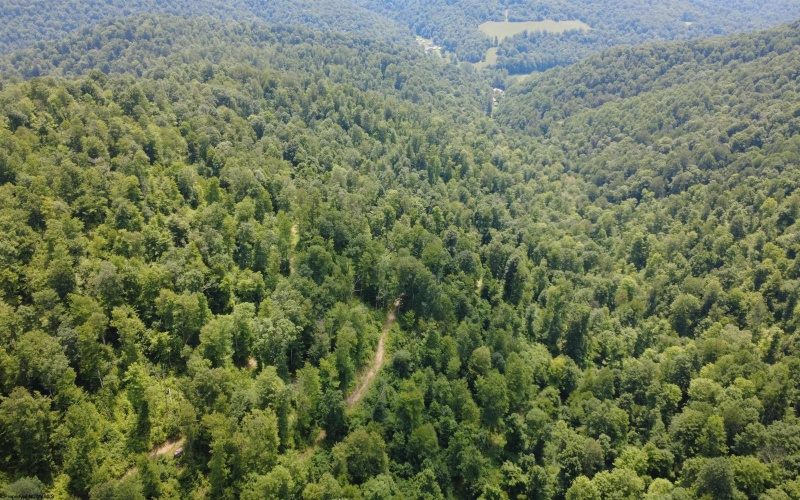 TBD SALTLICK Road, Terra Alta, West Virginia 26764, 0 , 0 ,0,Lots/land,For Sale,SALTLICK,0,10165626 TBD SALTLICK Road, Terra Alta, West Virginia 26764, 0 , 0 ,0,Lots/land,For Sale,SALTLICK,0,10165626