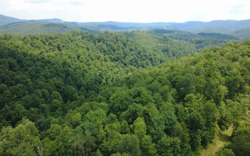 TBD SALTLICK Road, Terra Alta, West Virginia 26764, 0 , 0 ,0,Lots/land,For Sale,SALTLICK,0,10165626 TBD SALTLICK Road, Terra Alta, West Virginia 26764, 0 , 0 ,0,Lots/land,For Sale,SALTLICK,0,10165626