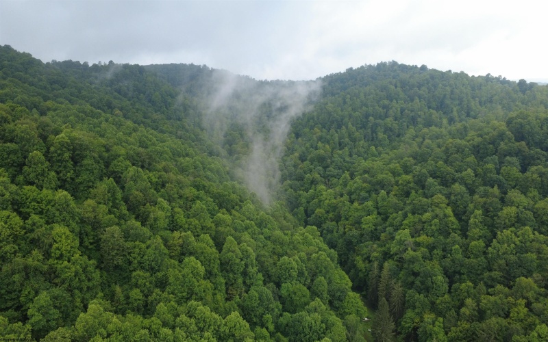 TBD SALTLICK Road, Terra Alta, West Virginia 26764, 0 , 0 ,0,Lots/land,For Sale,SALTLICK,0,10165626 TBD SALTLICK Road, Terra Alta, West Virginia 26764, 0 , 0 ,0,Lots/land,For Sale,SALTLICK,0,10165626