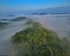 TBD SALTLICK Road, Terra Alta, West Virginia 26764, 0 , 0 ,0,Lots/land,For Sale,SALTLICK,0,10165626 TBD SALTLICK Road, Terra Alta, West Virginia 26764, 0 , 0 ,0,Lots/land,For Sale,SALTLICK,0,10165626