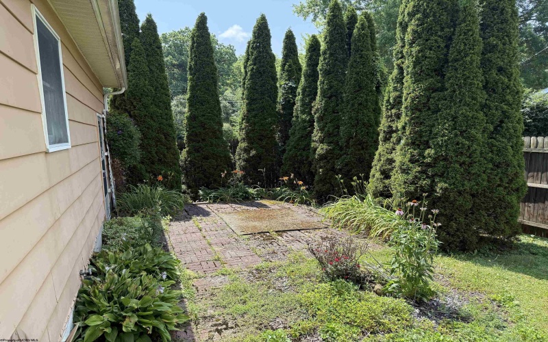 202 Robin Hood Lane, Elkins, West Virginia 26241, 3 Bedrooms Bedrooms, 6 Rooms Rooms,2 BathroomsBathrooms,Single Family Detached,For Sale,Robin Hood,0,10165609