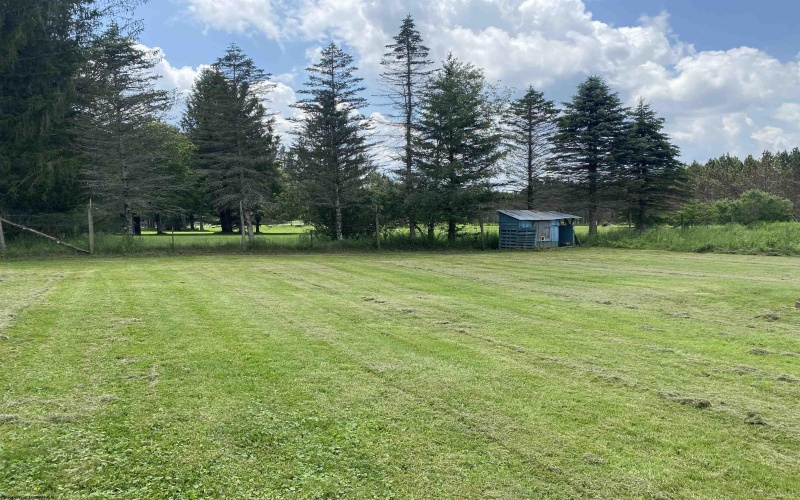 202 Pendleton Run Road, Davis, West Virginia 26260, 3 Bedrooms Bedrooms, 8 Rooms Rooms,2 BathroomsBathrooms,Single Family Detached,For Sale,Pendleton Run,0,10165624