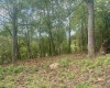TBD Johnson Avenue, Bridgeport, West Virginia 26330, 0 , 0 ,0,Lots/land,For Sale,Johnson,0,10161692