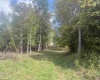 TBD Johnson Avenue, Bridgeport, West Virginia 26330, 0 , 0 ,0,Lots/land,For Sale,Johnson,0,10161692