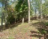 TBD Johnson Avenue, Bridgeport, West Virginia 26330, 0 , 0 ,0,Lots/land,For Sale,Johnson,0,10161692