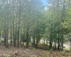 TBD Johnson Avenue, Bridgeport, West Virginia 26330, 0 , 0 ,0,Lots/land,For Sale,Johnson,0,10161692