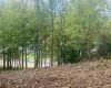 TBD Johnson Avenue, Bridgeport, West Virginia 26330, 0 , 0 ,0,Lots/land,For Sale,Johnson,0,10161692