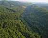 0 Saltlick Road, Terra Alta, West Virginia 26764, 0 , 0 ,0,Lots/land,For Sale,Saltlick,0,10165654