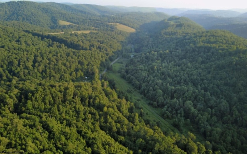 0 Saltlick Road, Terra Alta, West Virginia 26764, 0 , 0 ,0,Lots/land,For Sale,Saltlick,0,10165654