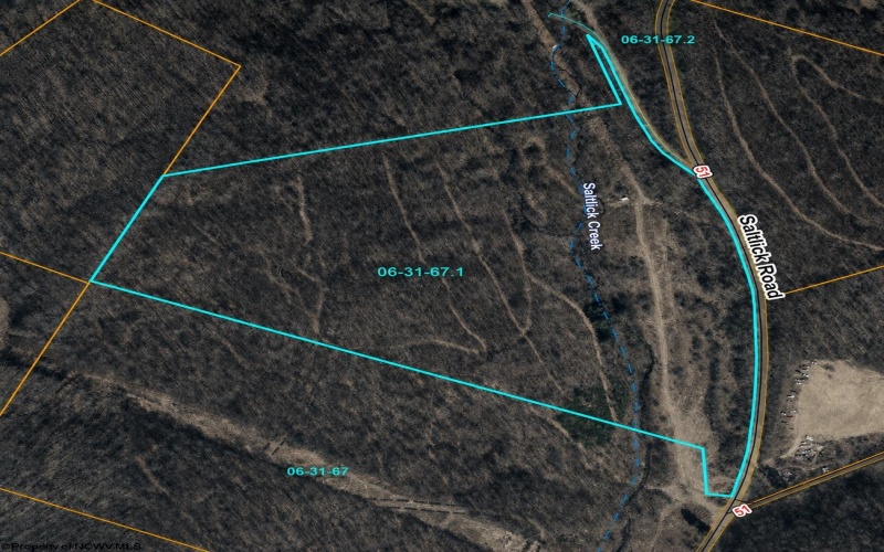 0 Saltlick Road, Terra Alta, West Virginia 26764, 0 , 0 ,0,Lots/land,For Sale,Saltlick,0,10165654