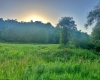 0 Saltlick Road, Terra Alta, West Virginia 26764, 0 , 0 ,0,Lots/land,For Sale,Saltlick,0,10165654