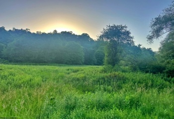 0 Saltlick Road, Terra Alta, West Virginia 26764, 0 , 0 ,0,Lots/land,For Sale,Saltlick,0,10165654