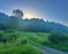 0 Saltlick Road, Terra Alta, West Virginia 26764, 0 , 0 ,0,Lots/land,For Sale,Saltlick,0,10165654