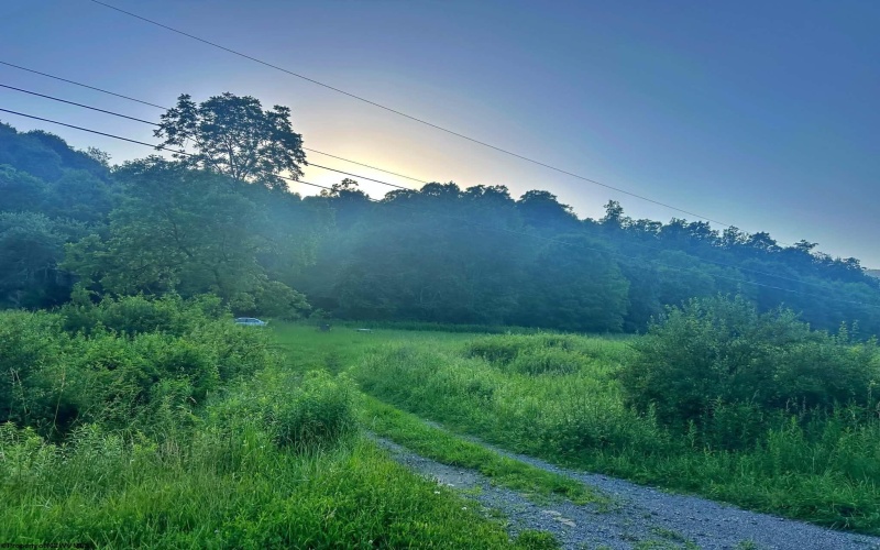0 Saltlick Road, Terra Alta, West Virginia 26764, 0 , 0 ,0,Lots/land,For Sale,Saltlick,0,10165654