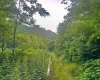 0 Saltlick Road, Terra Alta, West Virginia 26764, 0 , 0 ,0,Lots/land,For Sale,Saltlick,0,10165654