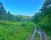 0 Saltlick Road, Terra Alta, West Virginia 26764, 0 , 0 ,0,Lots/land,For Sale,Saltlick,0,10165654