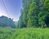 0 Saltlick Road, Terra Alta, West Virginia 26764, 0 , 0 ,0,Lots/land,For Sale,Saltlick,0,10165654