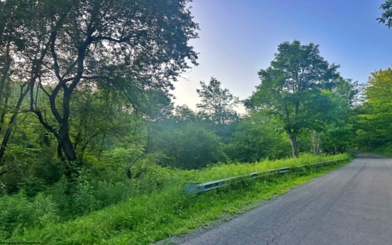 0 Saltlick Road, Terra Alta, West Virginia 26764, 0 , 0 ,0,Lots/land,For Sale,Saltlick,0,10165654