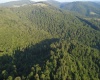 0 Saltlick Road, Terra Alta, West Virginia 26764, 0 , 0 ,0,Lots/land,For Sale,Saltlick,0,10165654
